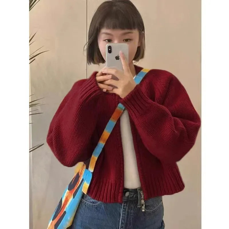 Korean Women Knitted Sweater Autumn